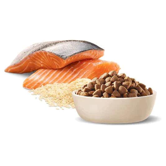 Advance Dog Adult Sensitive Skin & Digestion All Breed Salmon with Rice 13kg